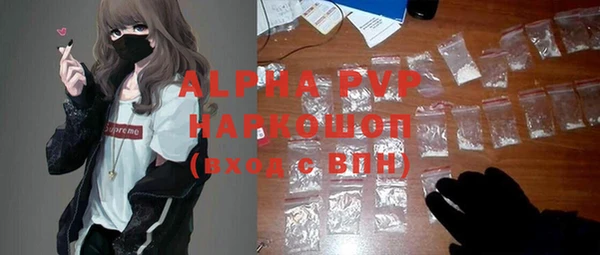 СК Алзамай