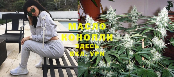 дмт Алексин