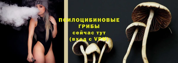 дмт Алексин