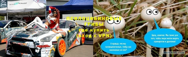 дмт Алексин