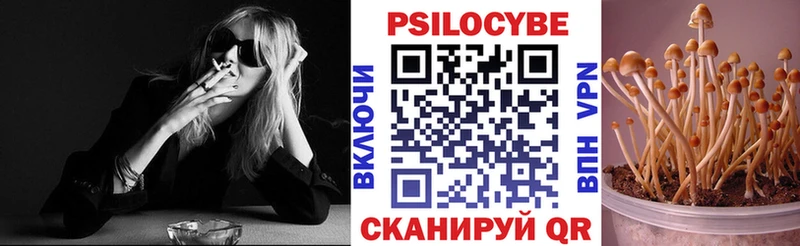 MEGA ТОР Гуково Галлюциногенные грибы GOLDEN TEACHER